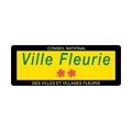 Ville Fleurie